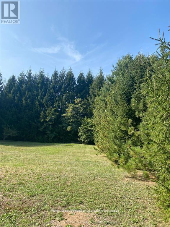 143 TAFT ROAD - 37