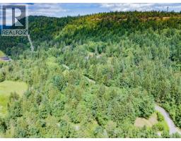 Lot 9 South Doole Rd, Nanaimo, BC V9G1G6 Photo 13