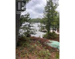 431 Healey Lake Water, The Archipelago, ON P0G1G0 Photo 22