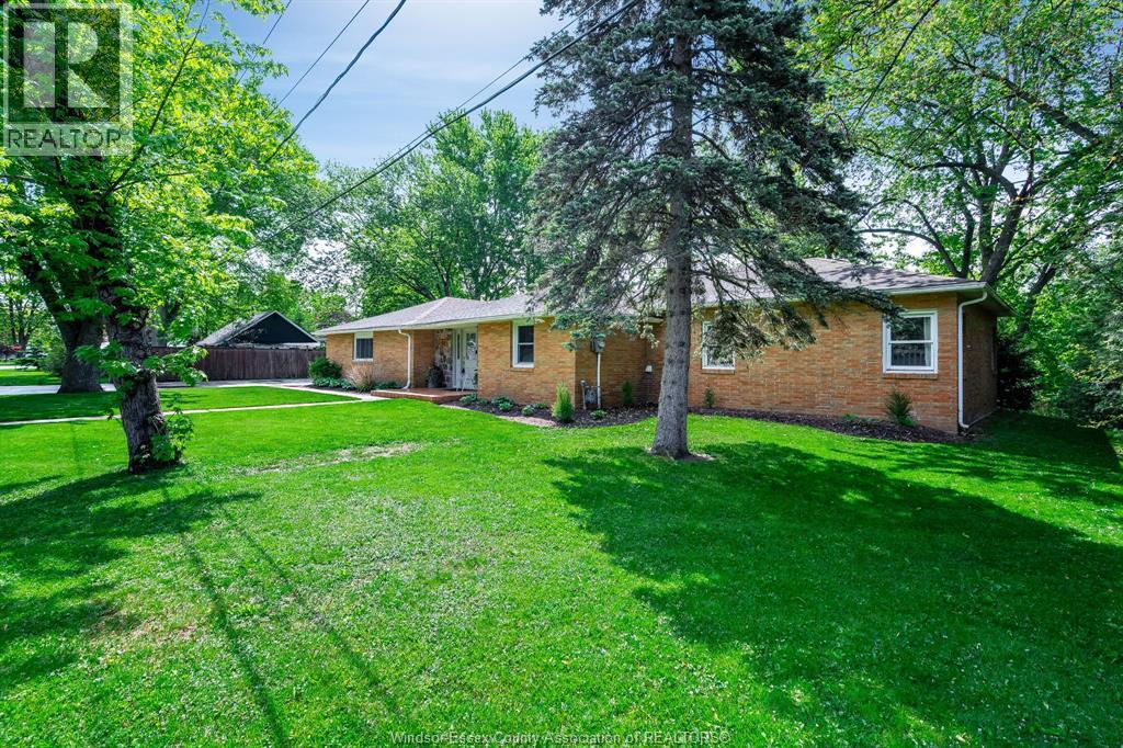 52 Robinson STREET - 35