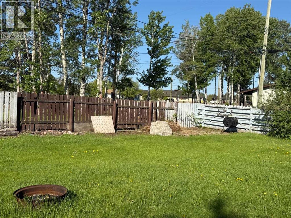 More of the backyard