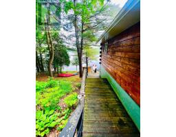 253 Faradale Drive, Faraday, ON K0L1C0 Photo 15