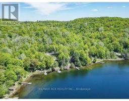 253 Faradale Drive, Faraday, ON K0L1C0 Photo 11