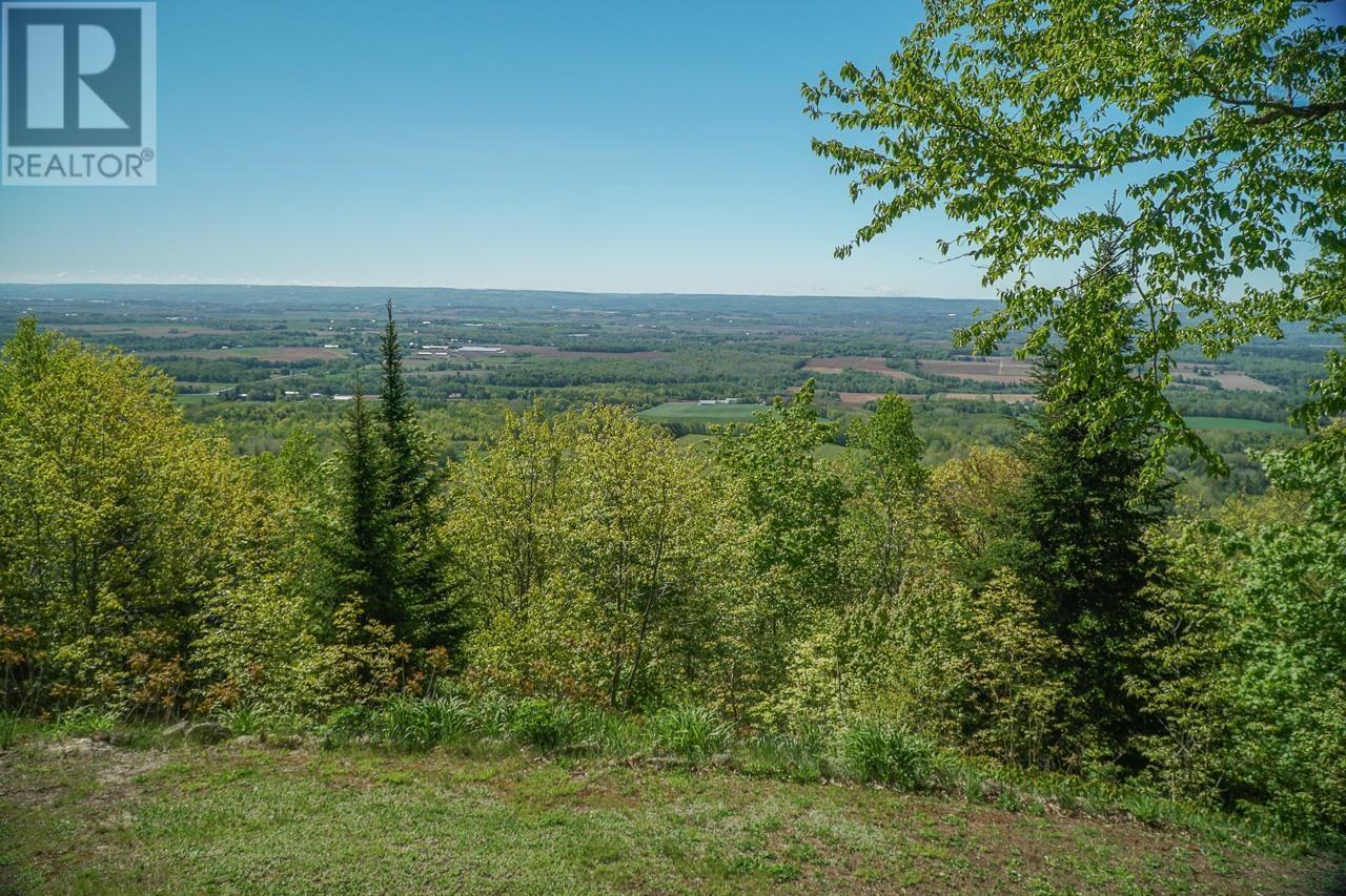 1460 Brow of Mountain Road - 14