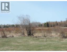 On Twp 43, Hoadley, AB T0C2J0 Photo 9