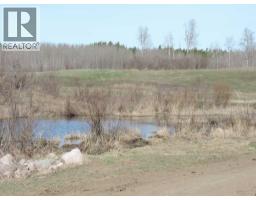 On Twp 43, Hoadley, AB T0C2J0 Photo 6