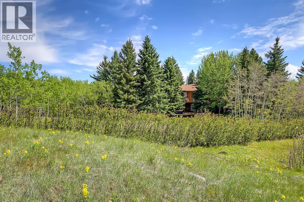 75 Anatapi Lane SW - 20