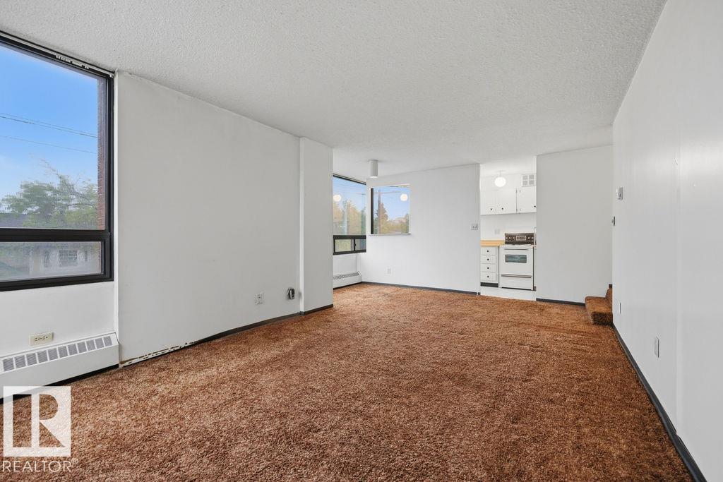 #315 10160 114 ST NW - 10