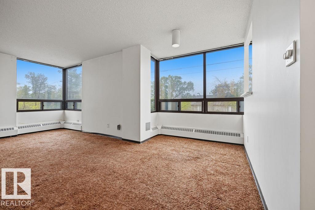 #315 10160 114 ST NW - 19