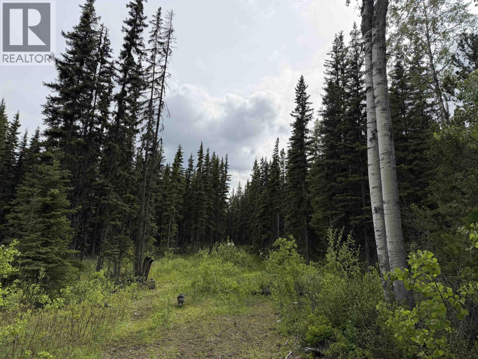 DL 706 WALCOTT Road, Telkwa