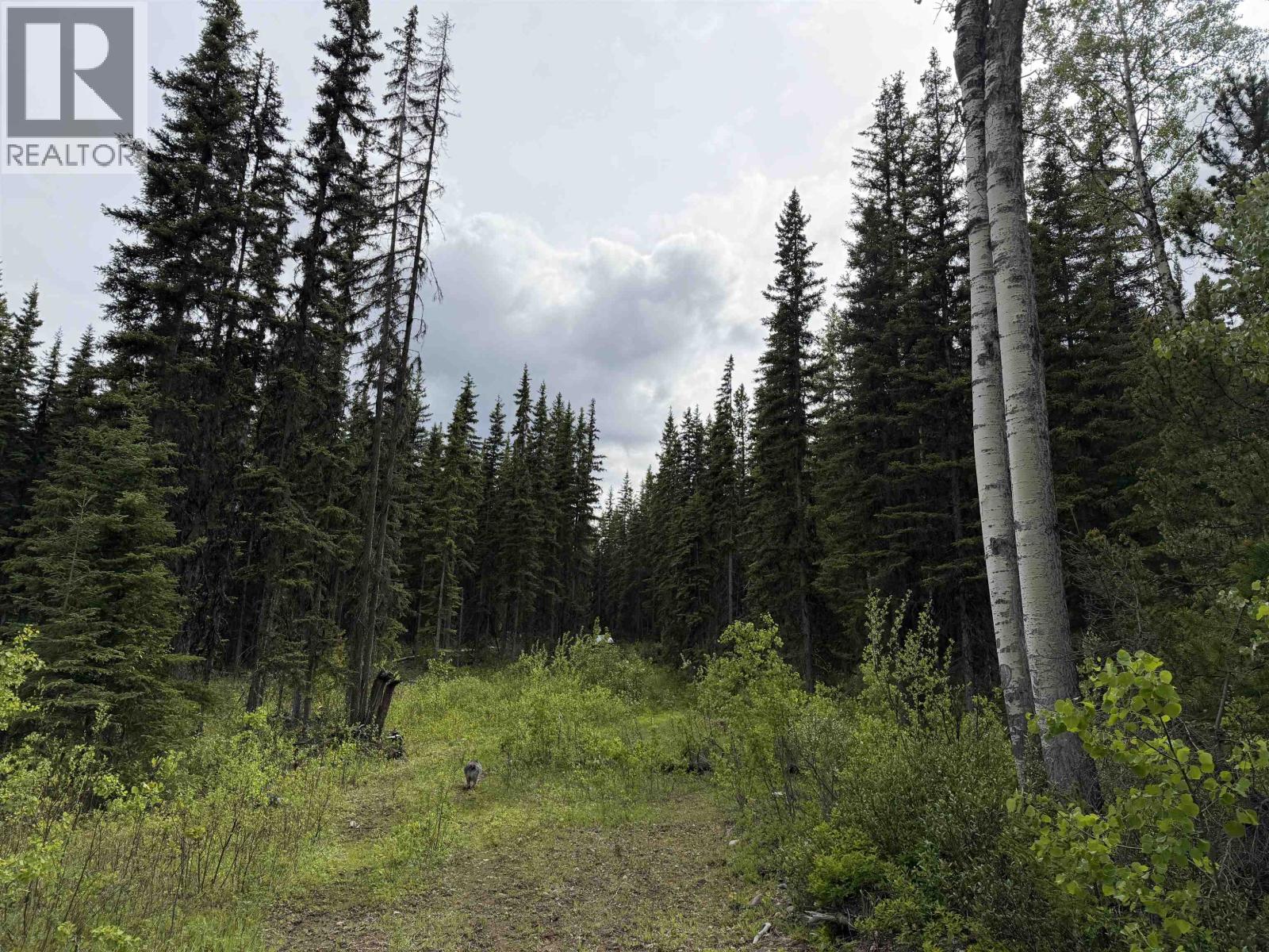 DL 706 WALCOTT Road, Telkwa