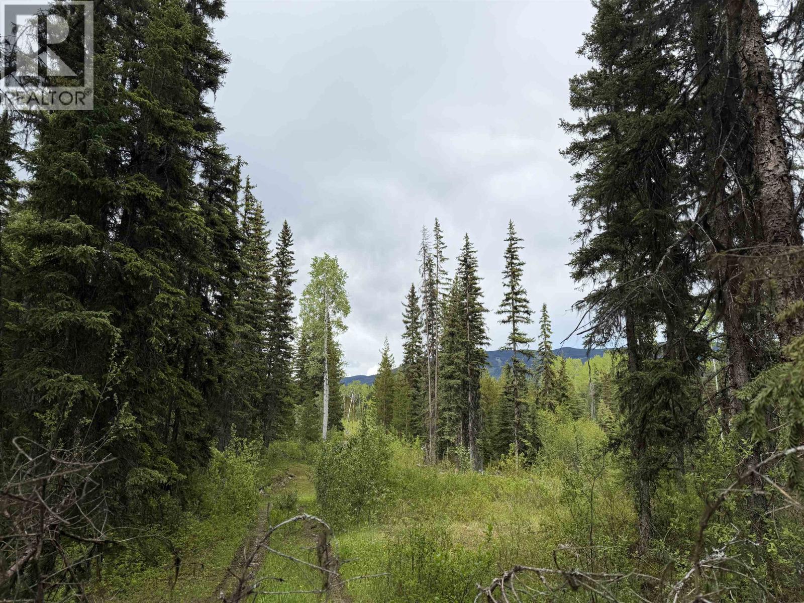 DL 706 WALCOTT Road, Telkwa
