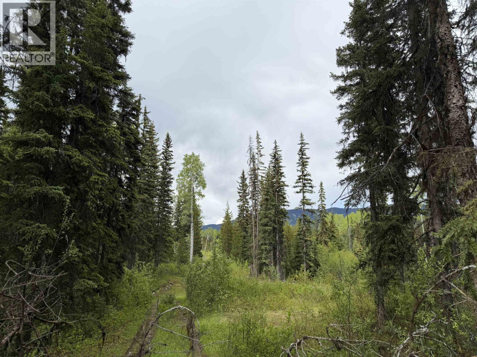 DL 706 WALCOTT Road, Telkwa