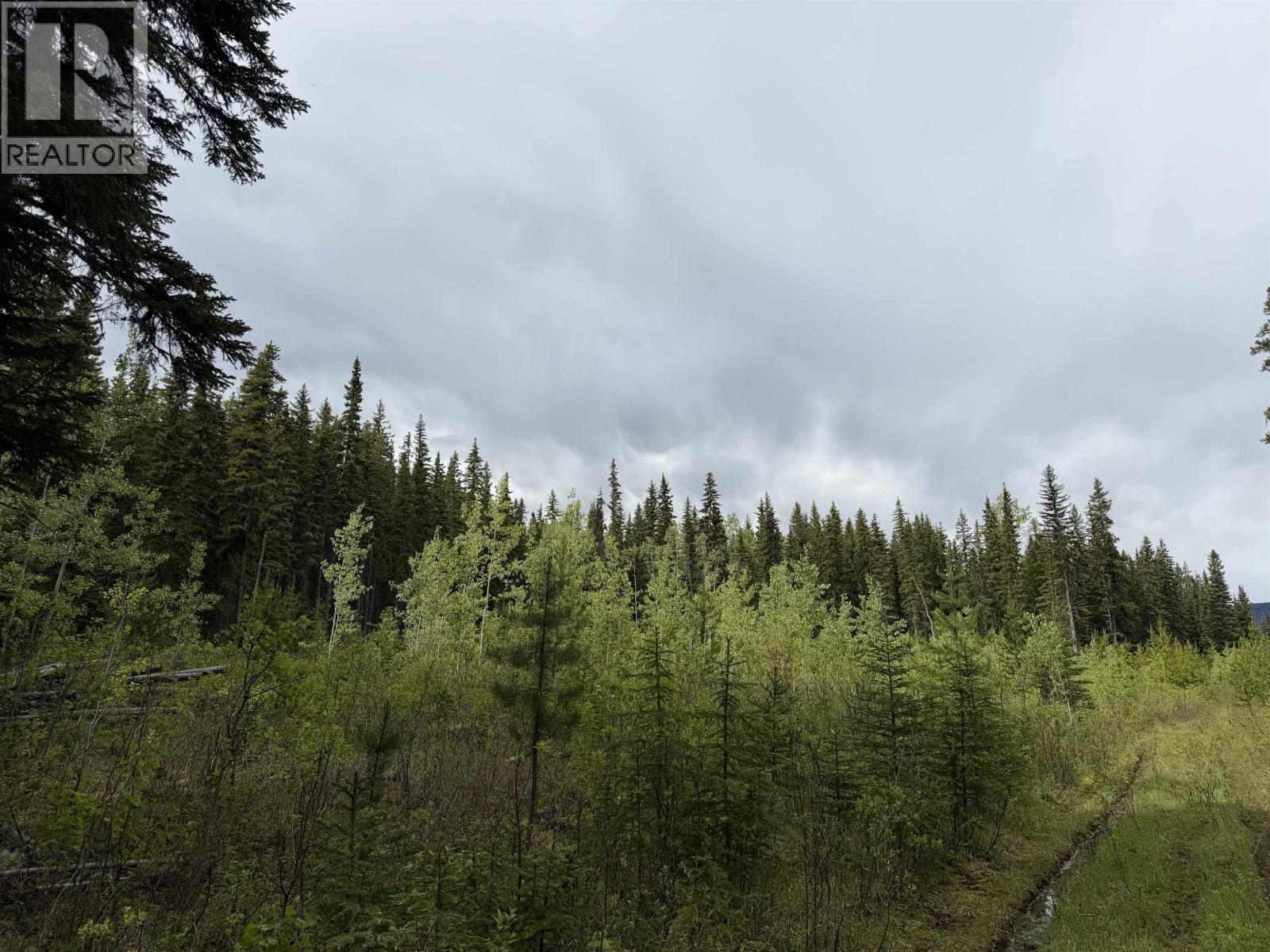 DL 706 WALCOTT Road, Telkwa