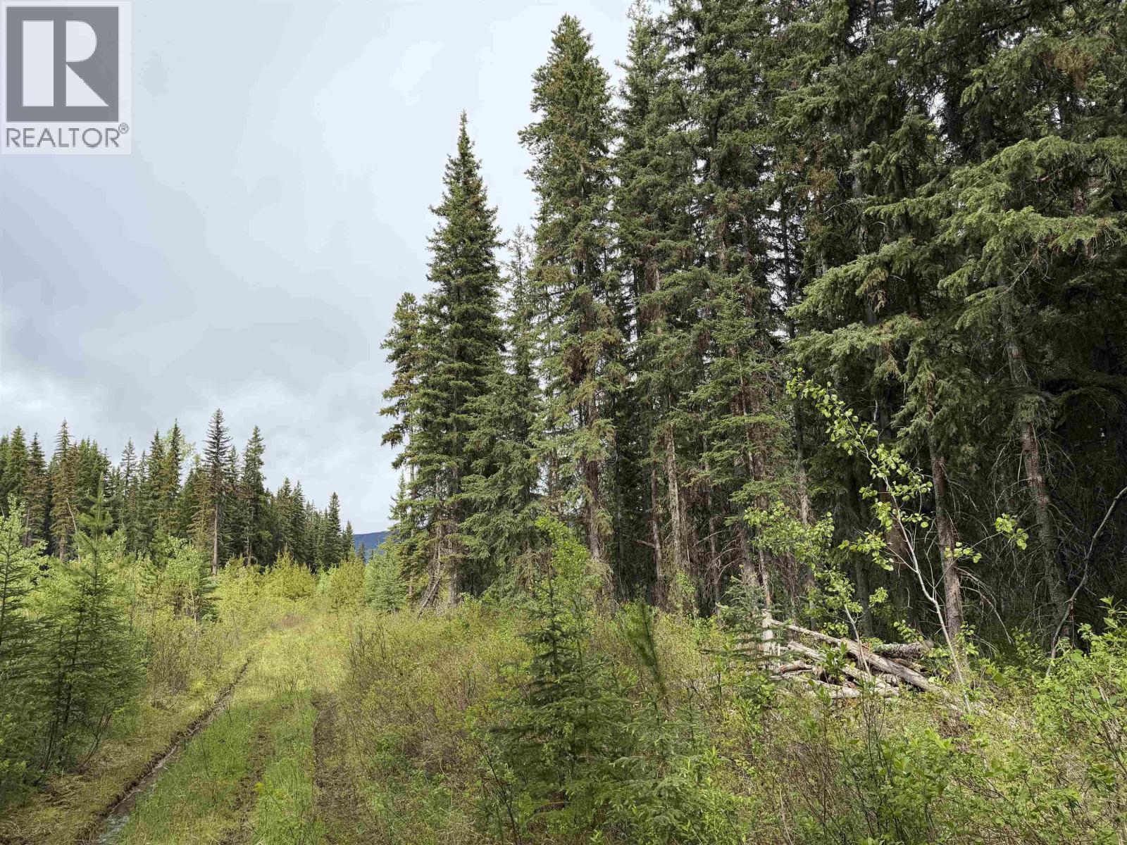 DL 706 WALCOTT Road, Telkwa