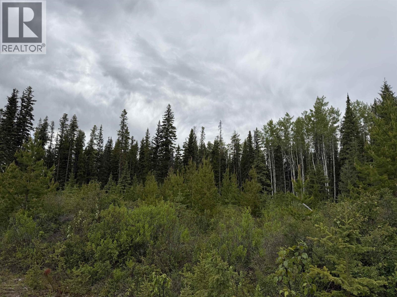 DL 706 WALCOTT Road, Telkwa
