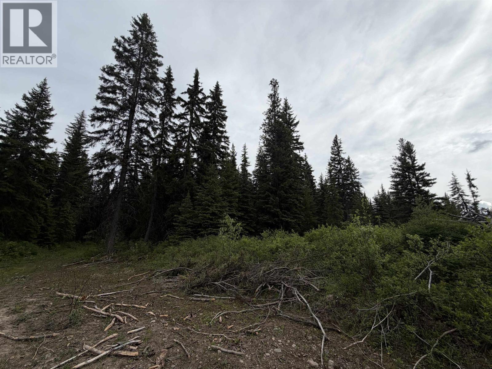 DL 706 WALCOTT Road, Telkwa