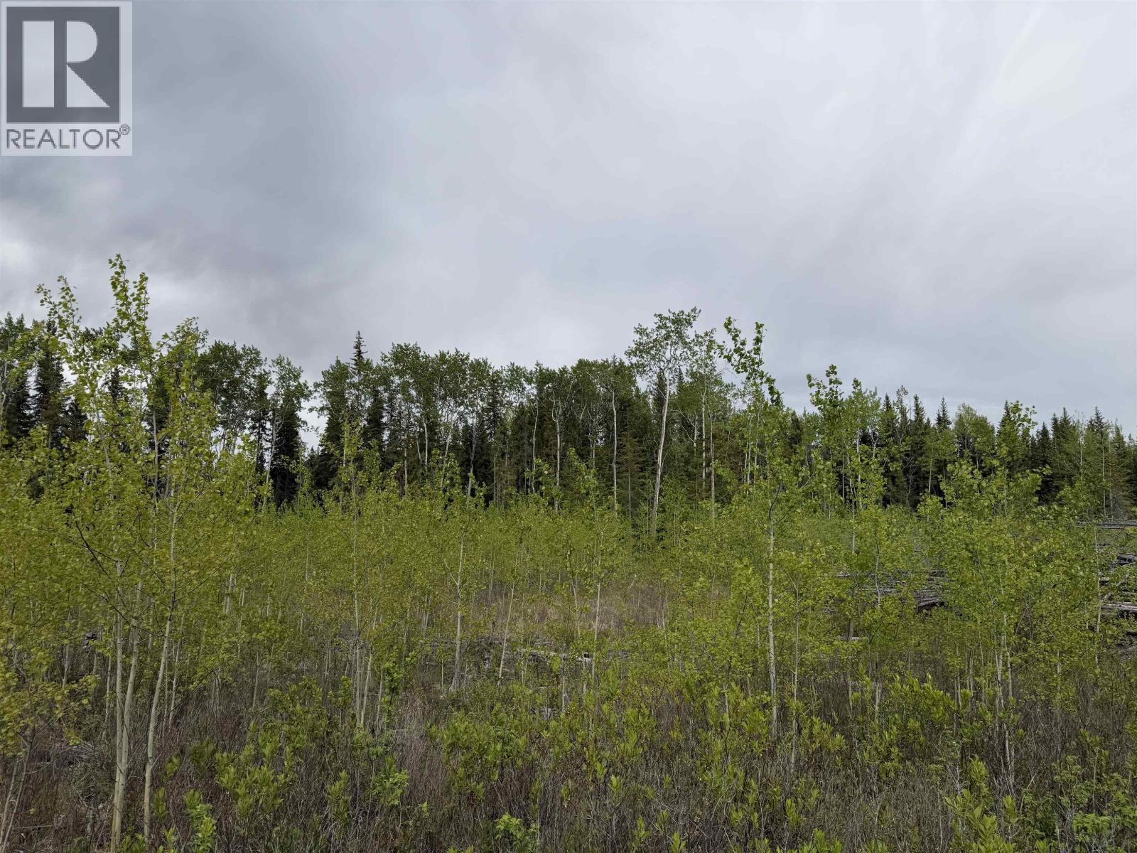 DL 706 WALCOTT Road, Telkwa