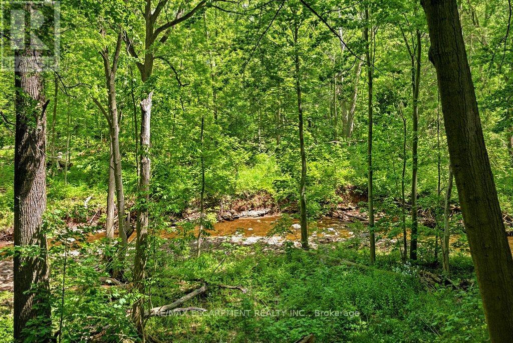 277 SHOREACRES ROAD - 43