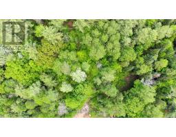47 & 55 Cleak Avenue, Bancroft, ON K0L1C0 Photo 10