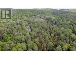 47 & 55 Cleak Avenue, Bancroft, ON K0L1C0 Photo 14