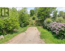47 & 55 Cleak Avenue, Bancroft, ON K0L1C0 Photo 15