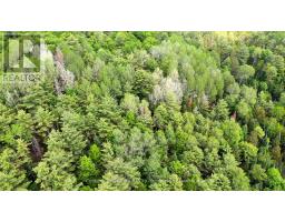 47 & 55 Cleak Avenue, Bancroft, ON K0L1C0 Photo 9