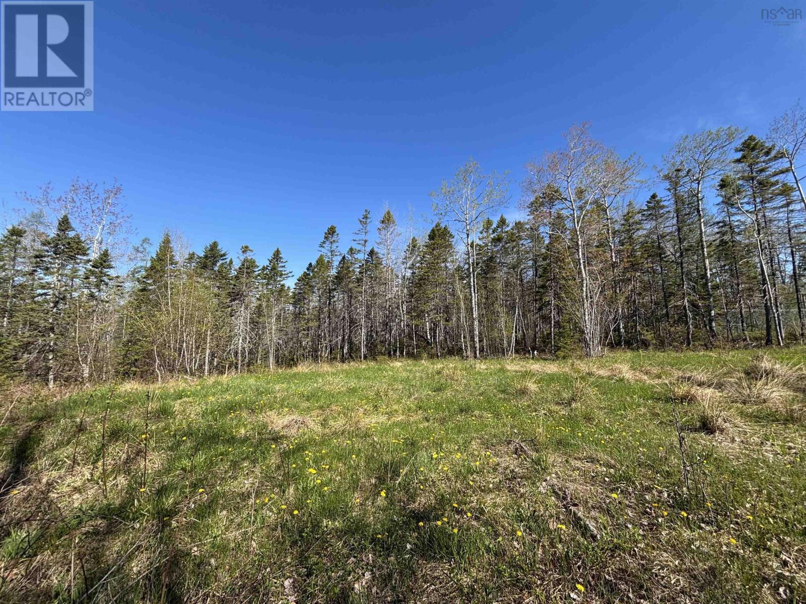 Property 7 of 19 of 91 Timber Drive