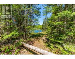 0 Brady Lake Road, Minden Hills, ON K0M2K0 Photo 14