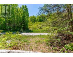 0 Brady Lake Road, Minden Hills, ON K0M2K0 Photo 12