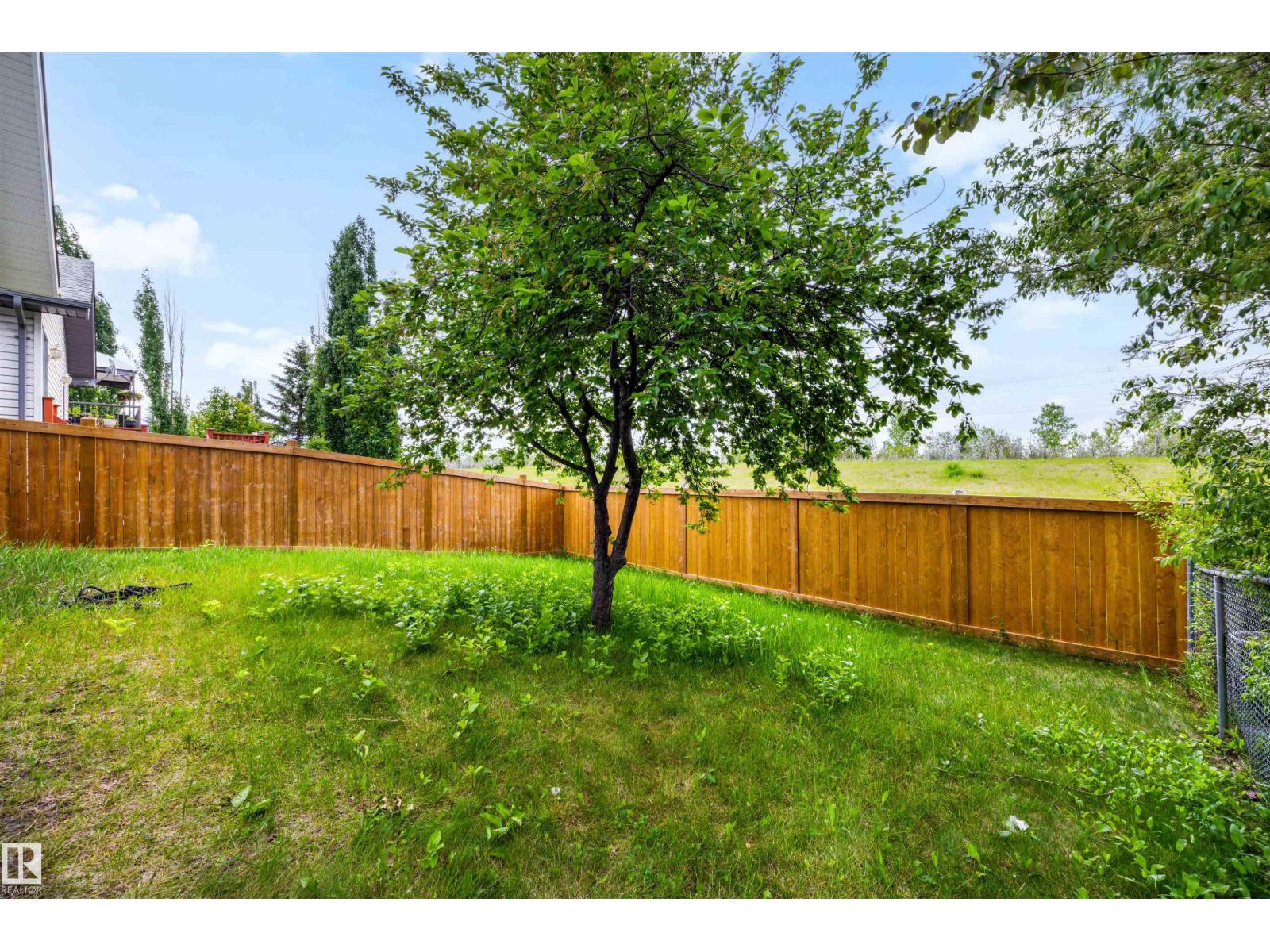 11815 8 AV NW - 21