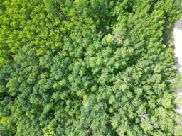 120 Cable Bridge Road, Roseau River, MB R0A1P0 Photo 7
