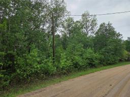 120 Cable Bridge Road, Roseau River, MB R0A1P0 Photo 6