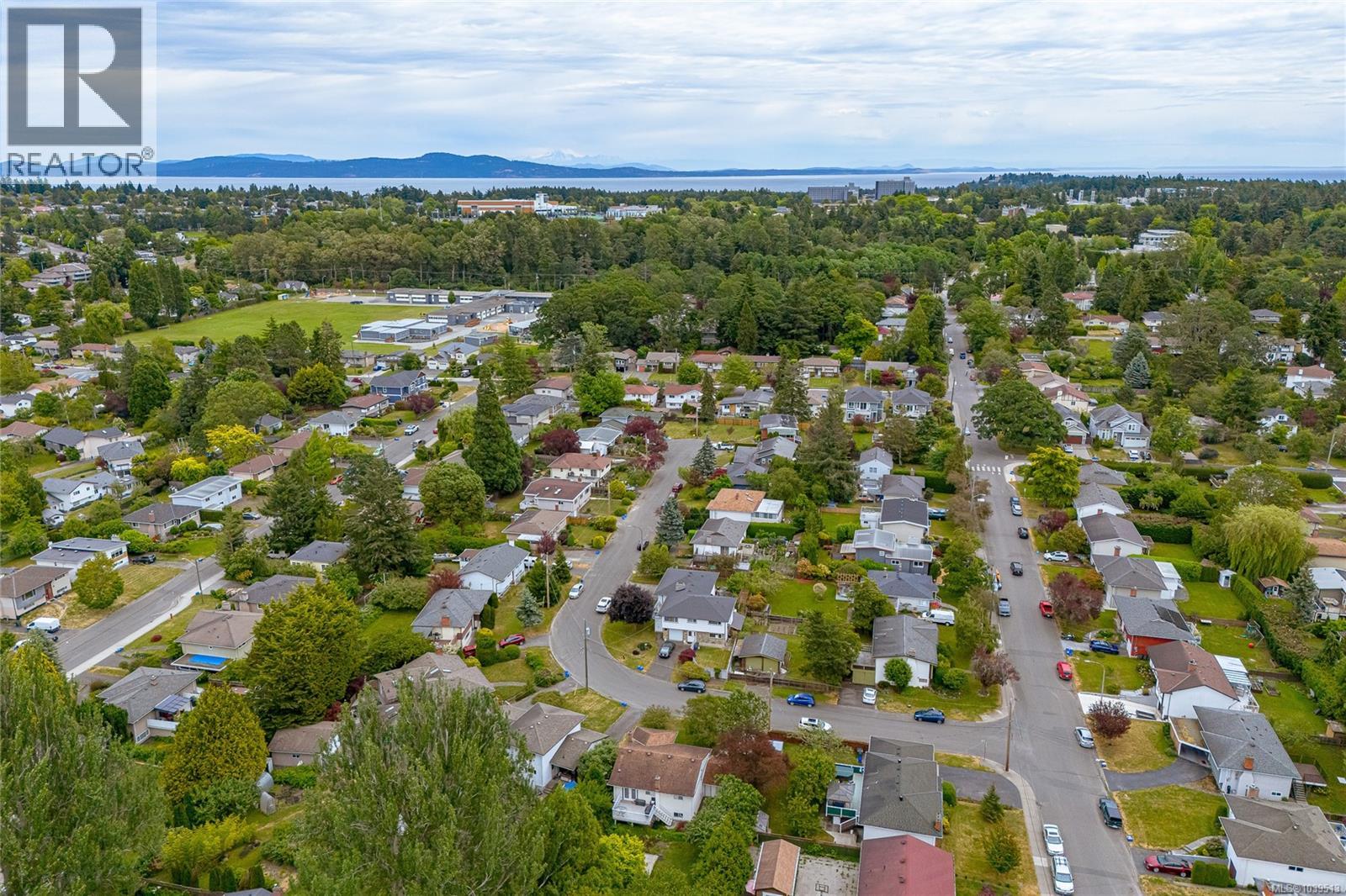 3881 Olivia Pl - 44