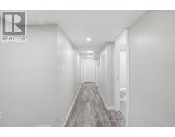 Lower Level - 43 Fleming Crescent, Haldimand, ON N3W0C3 Photo 6