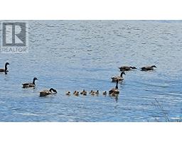 2512 Rte 17, Sturgeon, PE C0A1R0 Photo 49