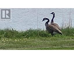 2512 Rte 17, Sturgeon, PE C0A1R0 Photo 24