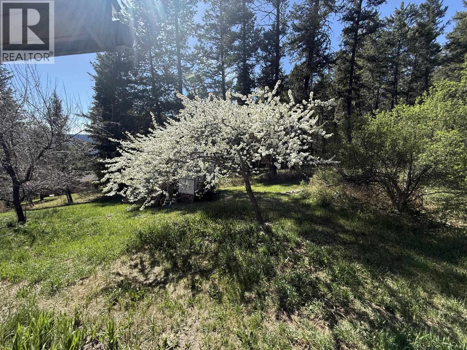 1680 168 MILE ROAD - 22