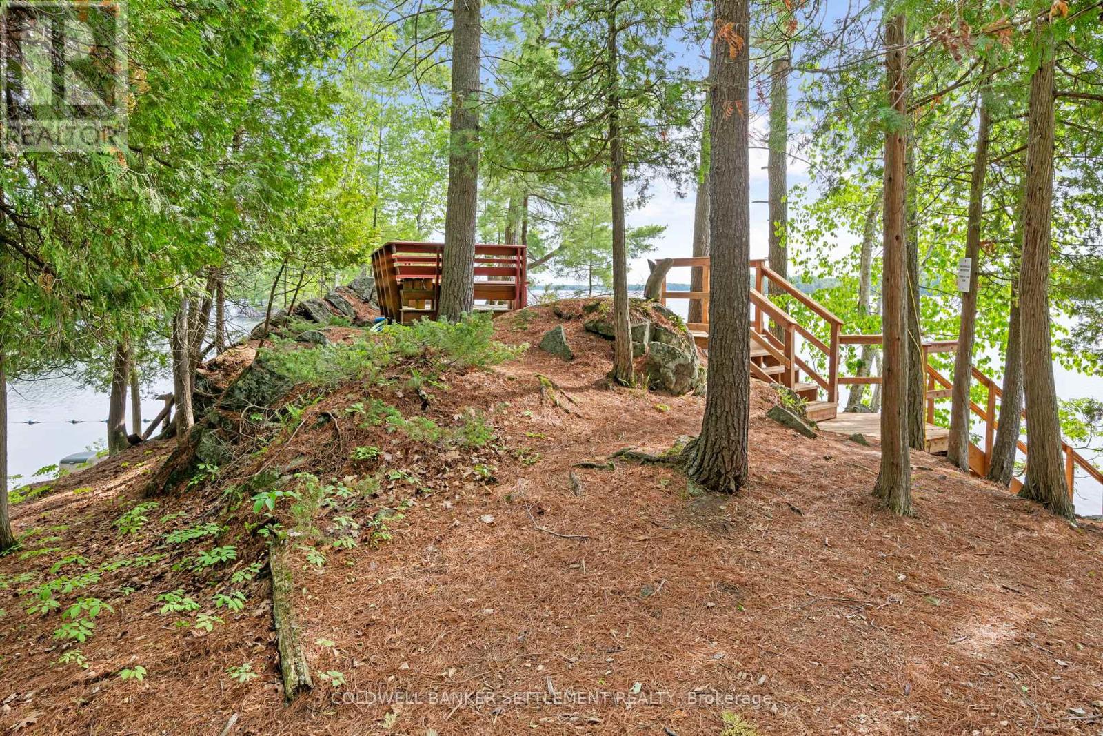 935 McLaren Road, Tay photo 23