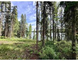 Lot 6 Timothy Lake Road, Lac La Hache, BC V0K1T0 Photo 40