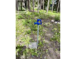 Lot 6 Timothy Lake Road, Lac La Hache, BC V0K1T0 Photo 22