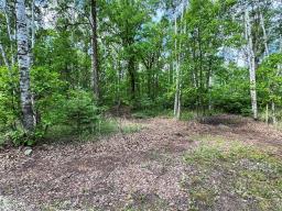 151 Cable Bridge Road, Roseau River, MB R0A1P0 Photo 7