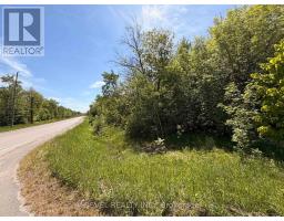 7509 Baldwin Lane, Ramara, ON L0K2B0 Photo 6