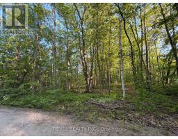 7509 Baldwin Lane, Ramara, ON L0K2B0 Photo 8