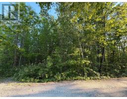 7509 Baldwin Lane, Ramara, ON L0K2B0 Photo 9