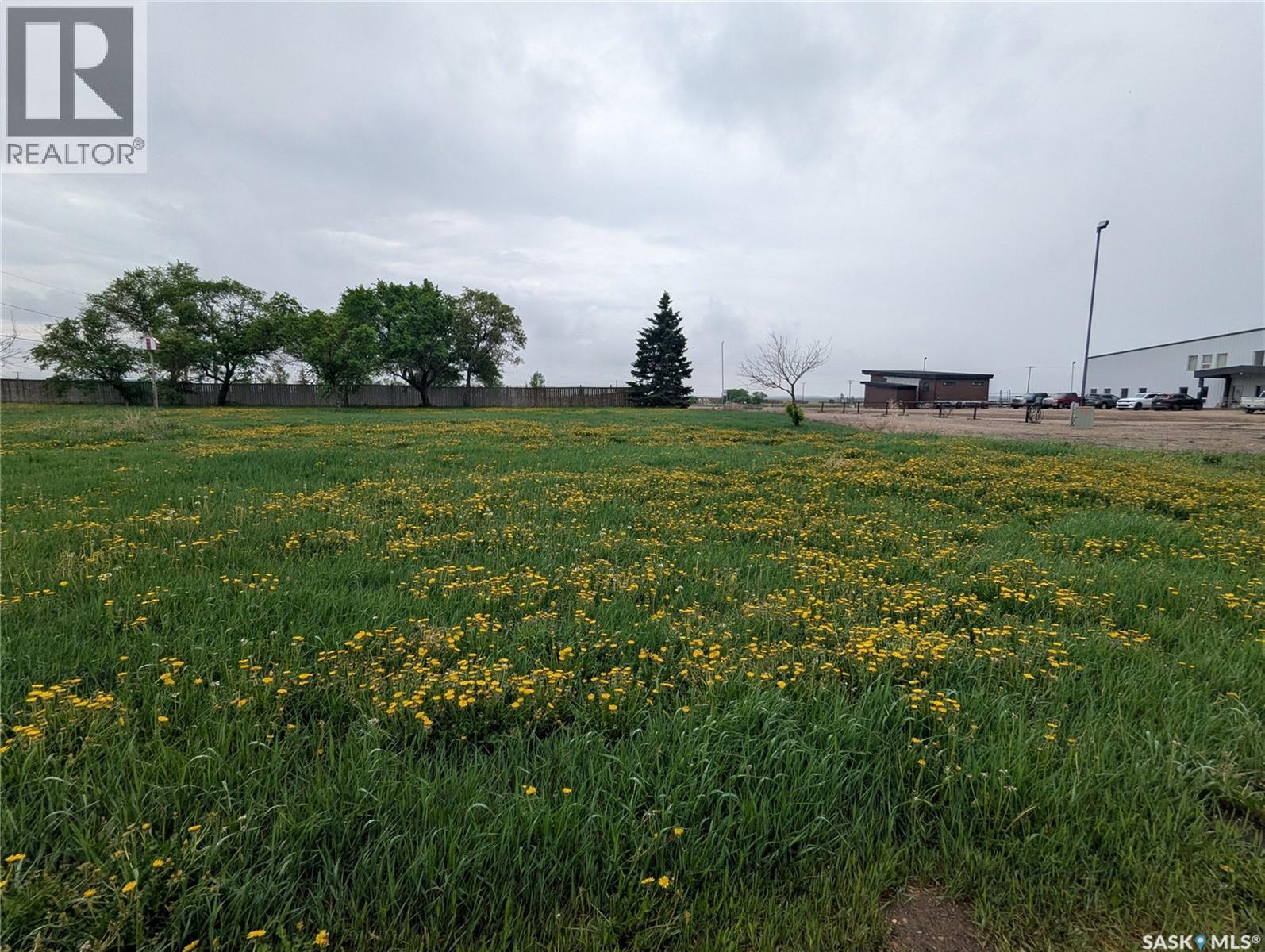 209 Lerew STREET — photo 12