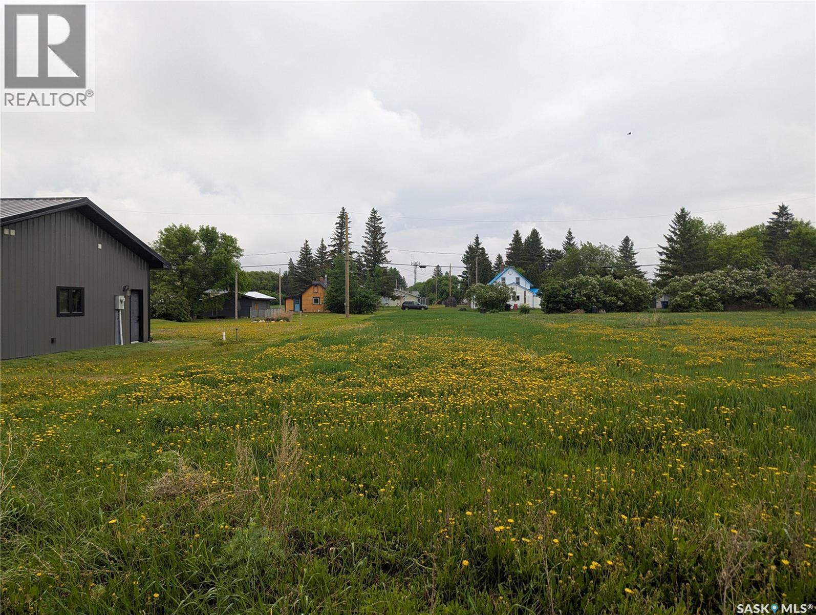 209 Lerew STREET — photo 17