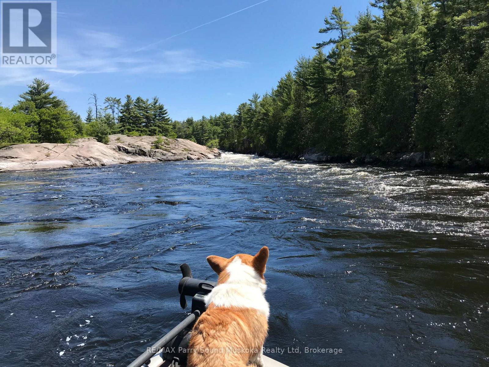66E PICKEREL RIVER - 25