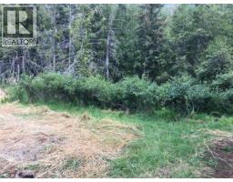 4856 32 Street, Canyon, BC V0B1C1 Photo 41