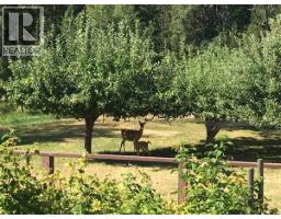 4856 32 Street, Canyon, BC V0B1C1 Photo 27